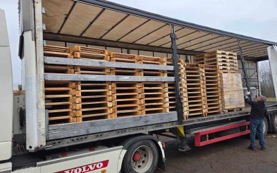 Cijena paleta u Hrvatskoj: što sve utječe na trošak i kako donijeti dugoročno isplativu odluku