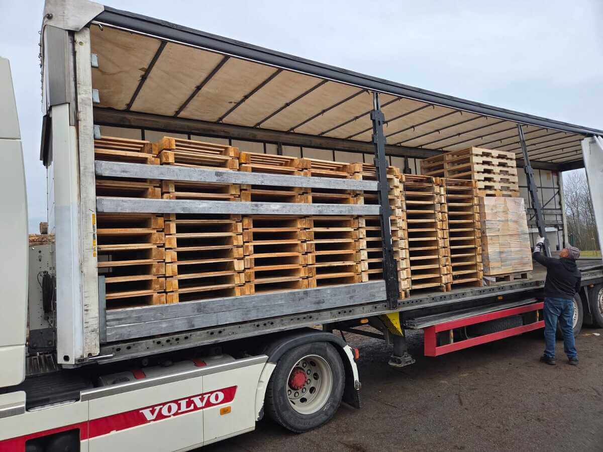 WhatsApp Image 2026-02-12 at 10.47.49 (1)